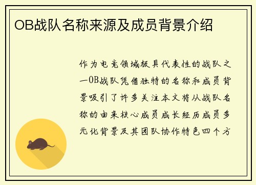 OB战队名称来源及成员背景介绍