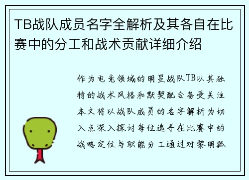 TB战队成员名字全解析及其各自在比赛中的分工和战术贡献详细介绍